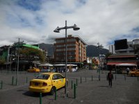 Mariscal Forch