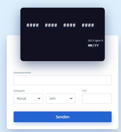 Scammer creditcard website